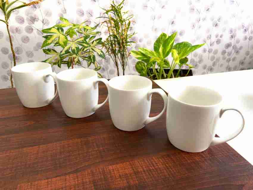 https://rukminim2.flixcart.com/image/850/1000/ktep2fk0/glass/r/h/6/prime-porcelain-morning-tea-coffee-milk-mug-cup-250-ml-white-set-original-imag6raqx66mtvhx.jpeg?q=20