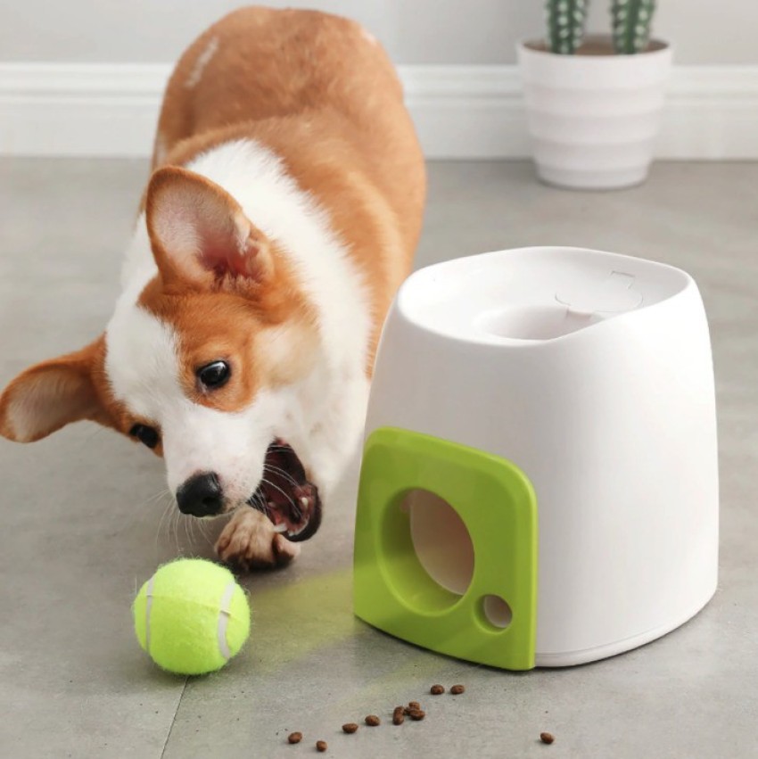 https://rukminim2.flixcart.com/image/850/1000/ktep2fk0/pet-toy/o/p/3/dog-treat-dispenser-rewards-pet-dog-interactive-fetch-toy-with-original-imag6rahn5pgqdhp.jpeg?q=90