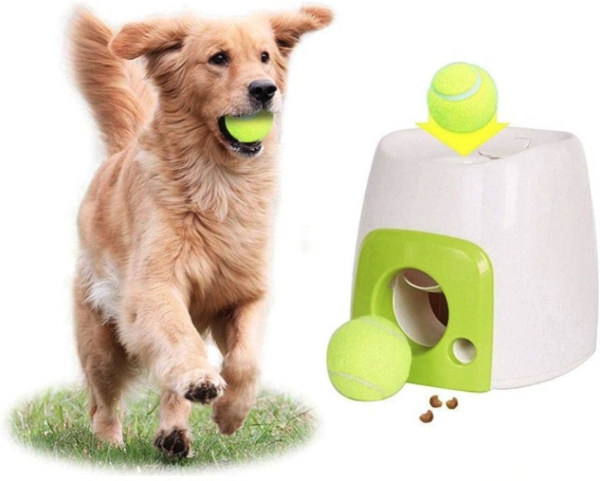 https://rukminim2.flixcart.com/image/850/1000/ktep2fk0/pet-toy/p/w/v/dog-treat-dispenser-rewards-pet-dog-interactive-fetch-toy-with-original-imag6rahxxy9kkhp.jpeg?q=90