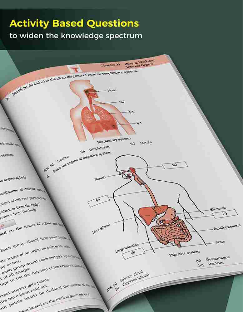 Standard 1: EVS Work book and Note book