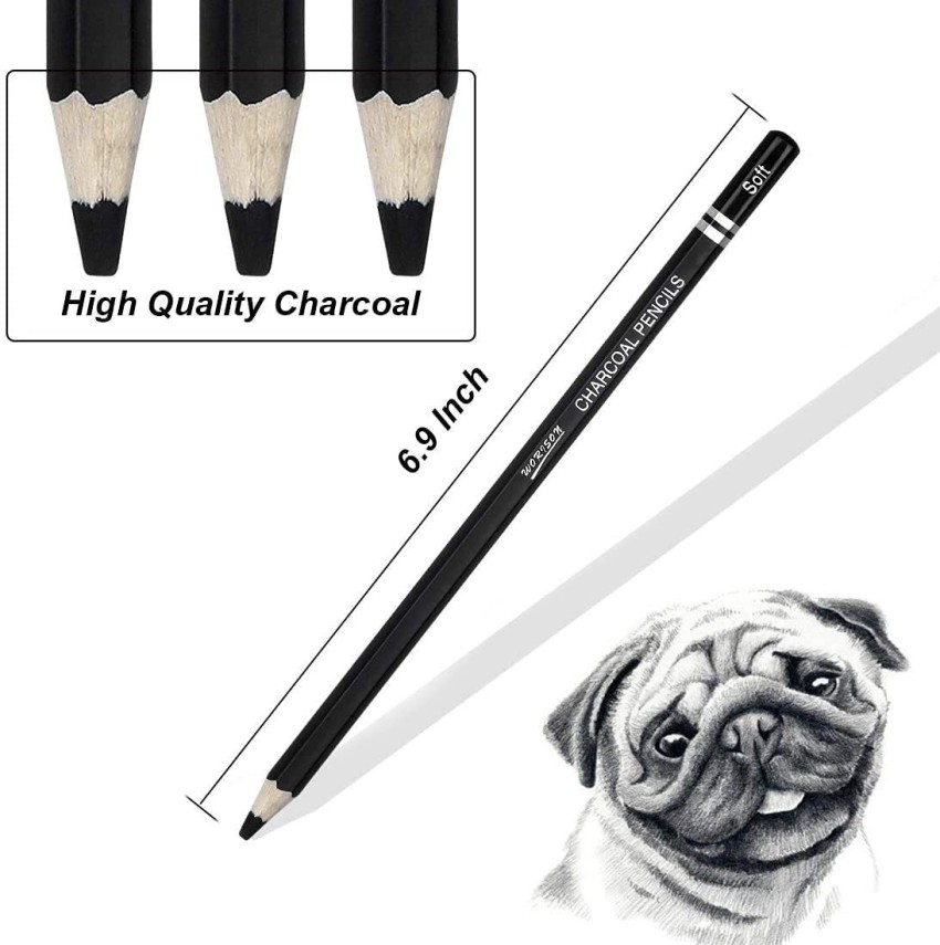 Worison Charcoal Pencils Drawing Set - 12 Pieces Soft Medium and Hard