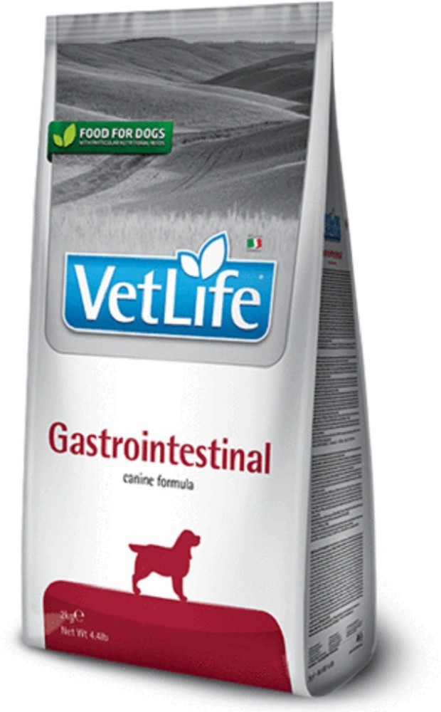 Gastrointestinal dry dog clearance food