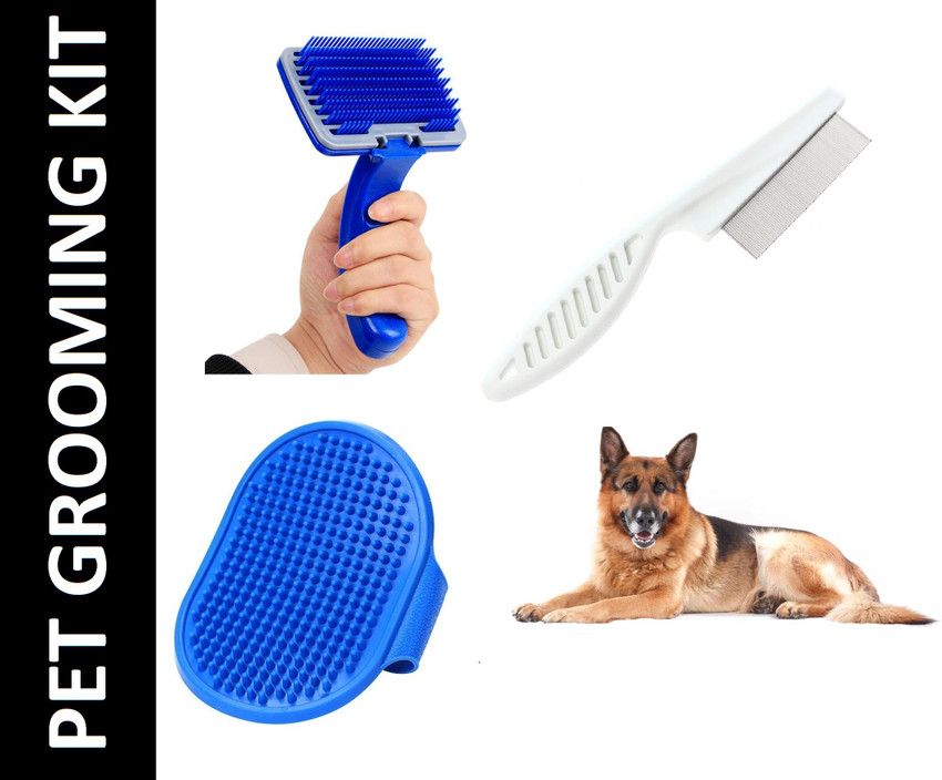 Best pet comb sales