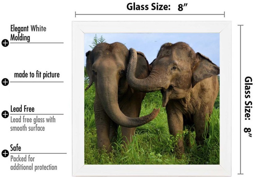 Elephant and Baby Poster Print, 24x36 : : Home