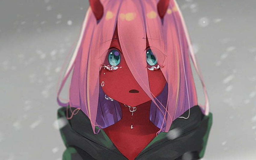 Zero Two Past 002 Anime Darling In The Franxx Zero Two Matte Finish Poster  Paper Print - Animation & Cartoons posters in India - Buy art, film,  design, movie, music, nature and