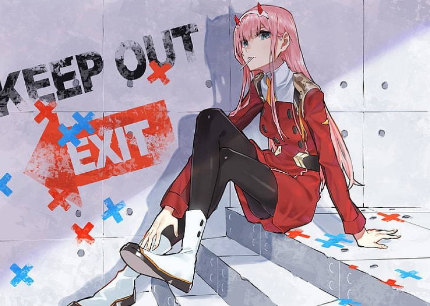 Zero Two Darling Darling In The Franxx Matte Finish Poster Paper Print -  Animation & Cartoons posters in India - Buy art, film, design, movie,  music, nature and educational paintings/wallpapers at