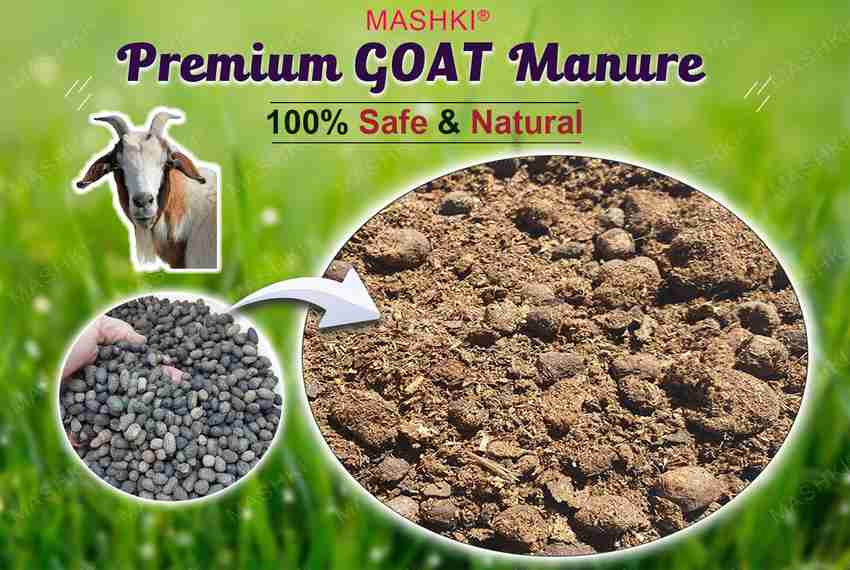 Goat Manure Fertilizer: Goat Manure In The Garden