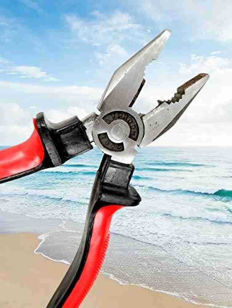SEASPIRIT pliers, cutting plier, combination plier, long nose plier 8''  Sturdy Steel Long Nose Plier, player tools, player, plash tools, pliers for  home Combination Snap Ring Plier Price in India - Buy