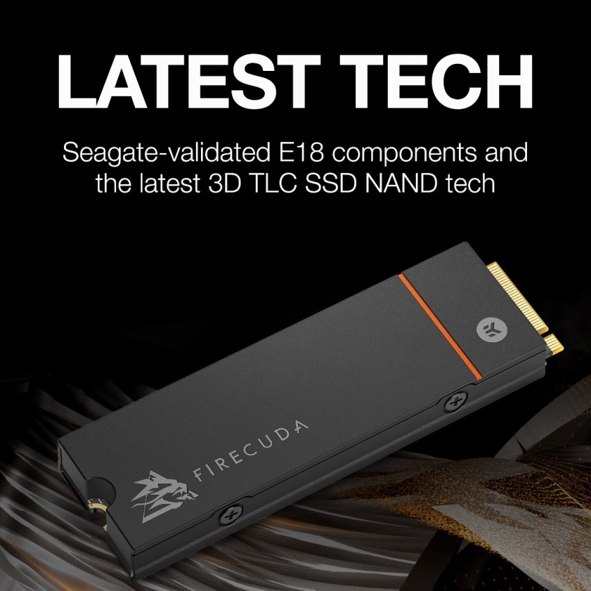 Seagate ZP500GM3A013 M.2 - Disque SSD Seagate 