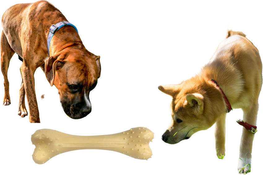 Hard plastic outlet dog bone