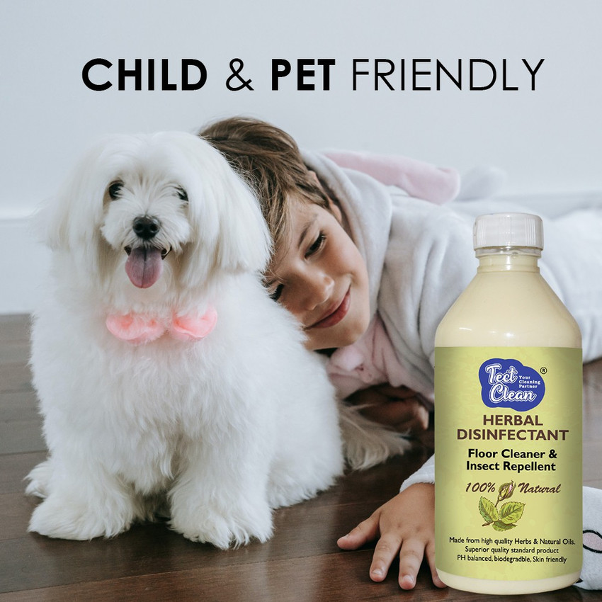 Tect Clean Herbal Floor Cleaner Insect Repellent Concentrate for