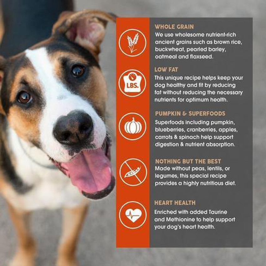 Earthborn holistic weight top control dog food