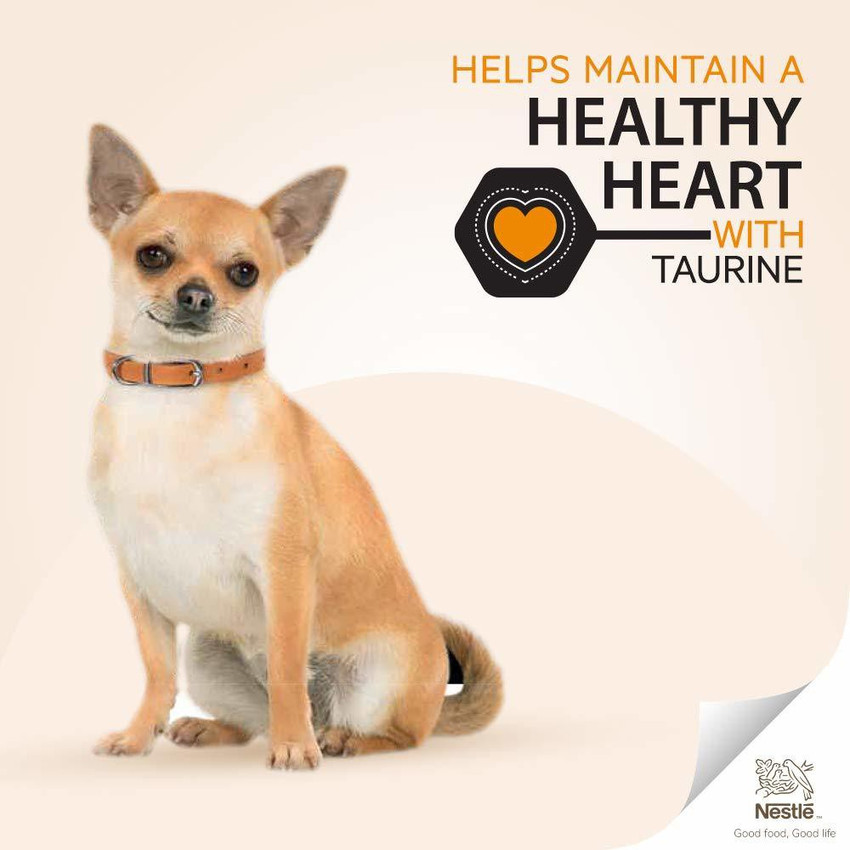 Taurine in shop purina pro plan
