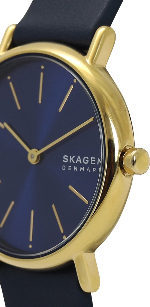 Skagen skw2867 sale