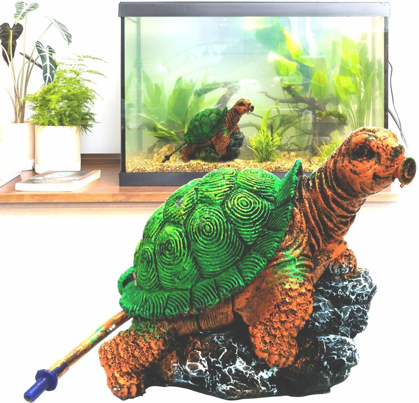 Tortoise store aquarium tank