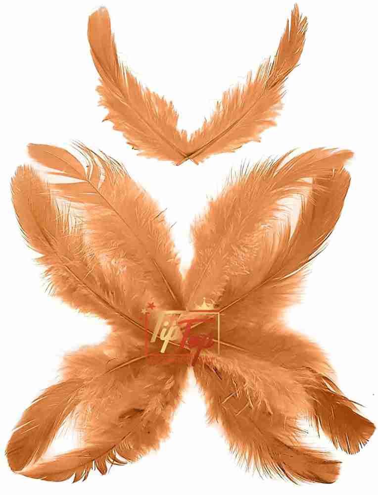 Baby Pink Craft Feathers (50 grams)