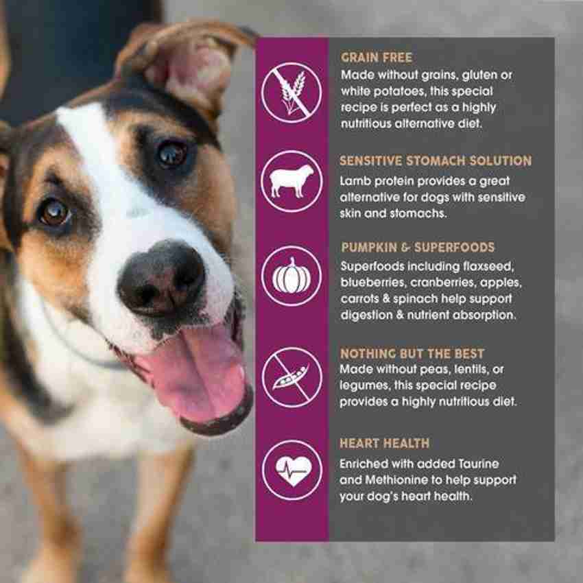 Earthborn holistic grain free meadow feast dog food on sale