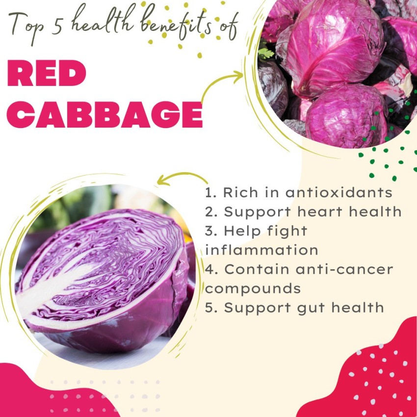 Gennext Red Cabbage Seeds Purple Cabbage Patta Gobi Seed Price in India Buy Gennext Red Cabbage Seeds Purple Cabbage Patta Gobi Seed online at Flipkart