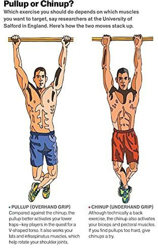 Bicep Curls Pull Ups And Chin Ups In Same Workout Pull Ups That