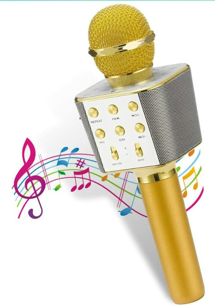 Ws 1688 bluetooth microphone discount