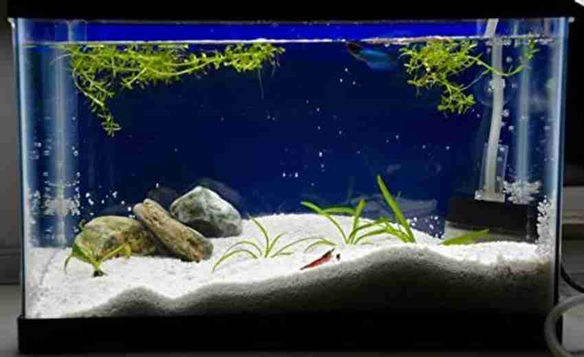 Aquarium top sand price