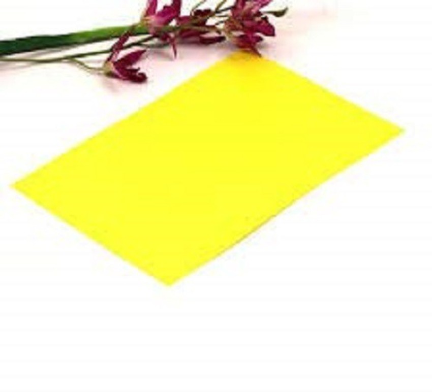 Eclet 40 pcs yellow Color Sheets 170-220 GSM Copy