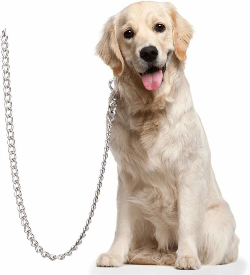 Leash Golden Retriever Accessories Golden Retriever Chain Strong