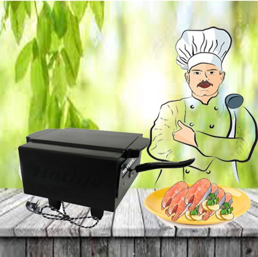 Skyline electric sales tandoor price