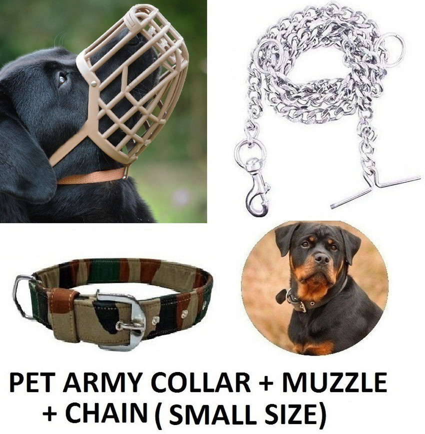 Chain muzzle shop