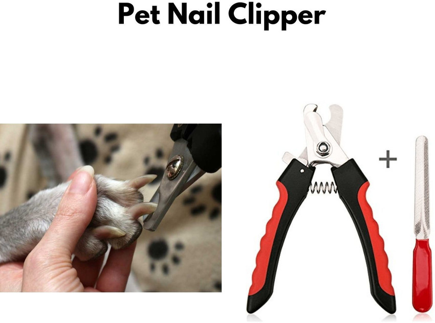 Dog nail cutter flipkart discount