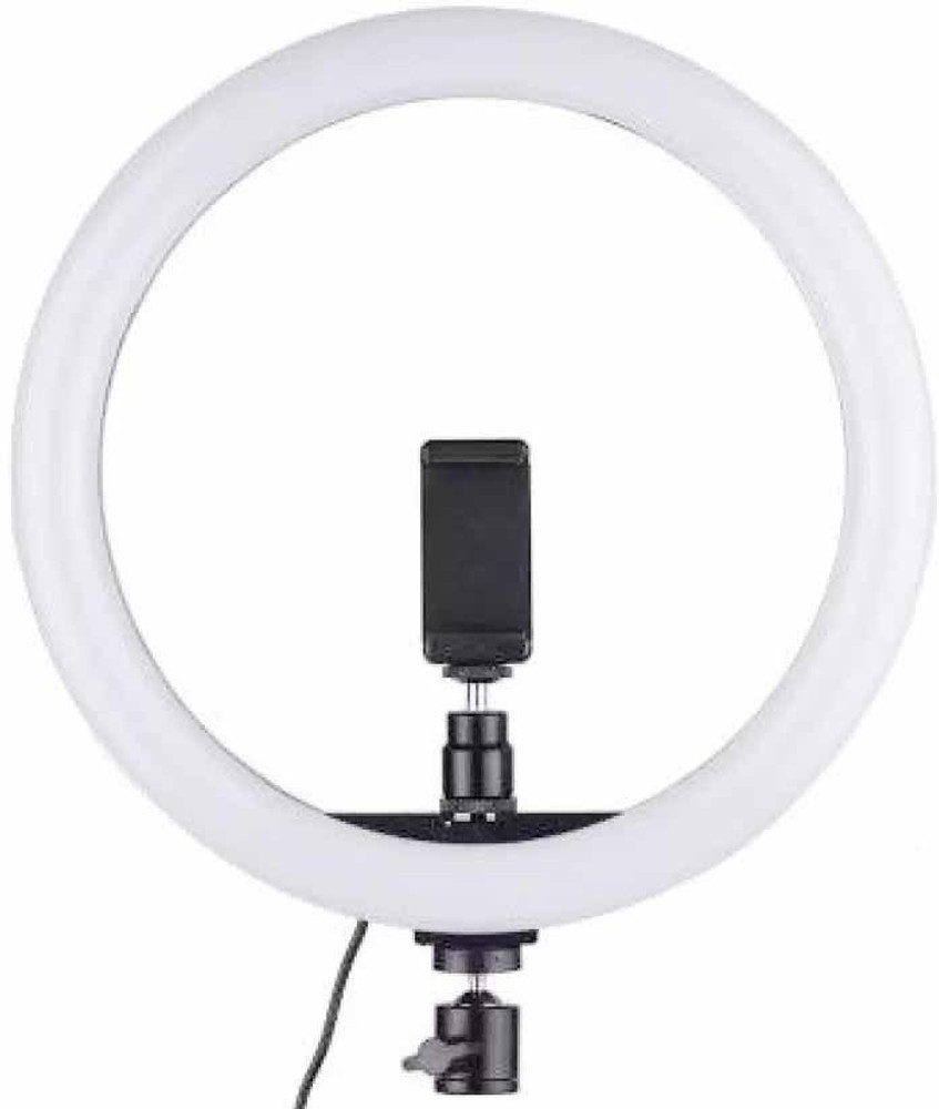 Ring light fixture camera sale