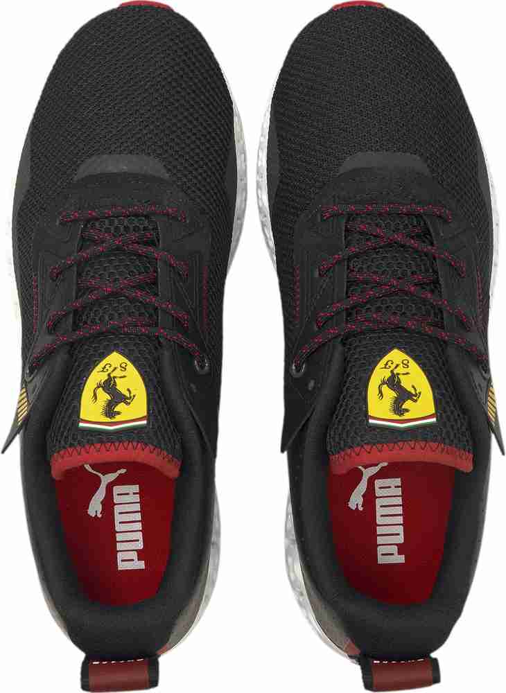 Puma rbr speed cat wings shop