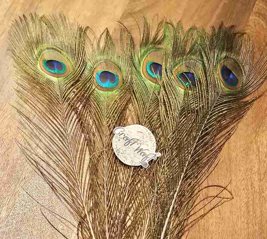 CRAFTWAFT Pack of 50 Decorative Feathers Price in India Buy