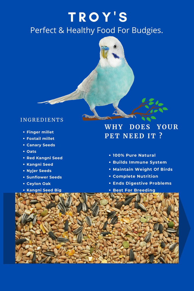 Troy s Budgies Perfect Healthy Food 1 kg Dry Adult Senior