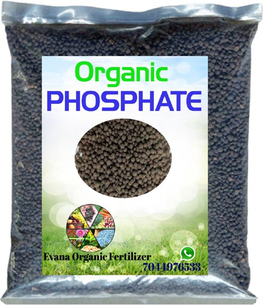 Phosphate fertilizer 2025
