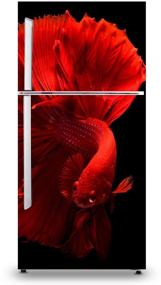 Wallpaper fish art cube square Red fish Cube romain flamand images for  desktop section разное  download