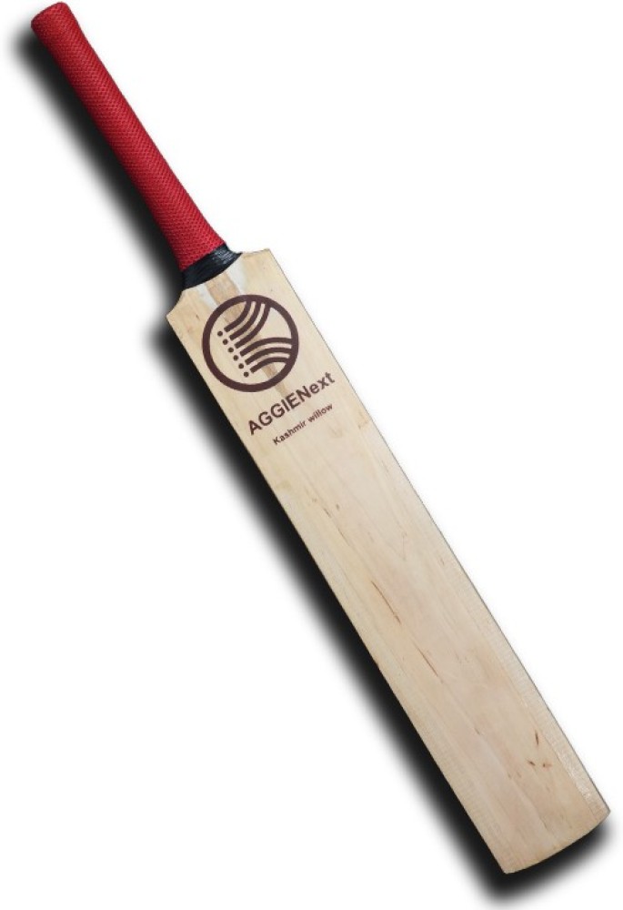 Everything You Need to Know About Kashmir Willow Cricket Bats: From Ty