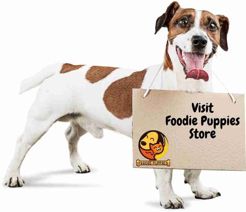 Foodie Puppies Stainless Steel Heavy Duty Dog Chain with Rope