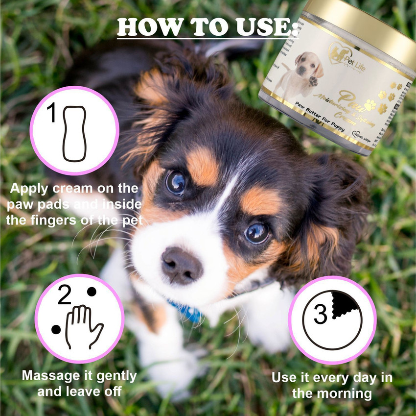 Dog top pad conditioner