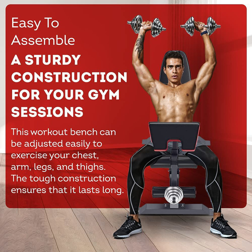 Fitness world bench 2025