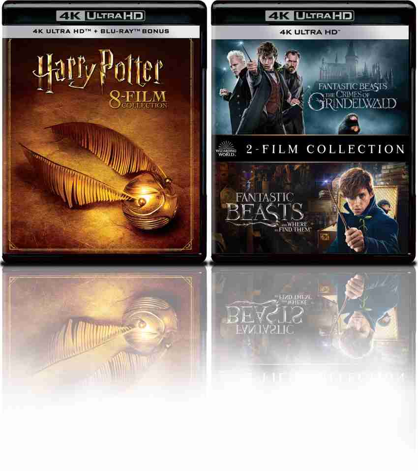 Wizarding World 10 Film Collection – Harry Potter & Fantastic