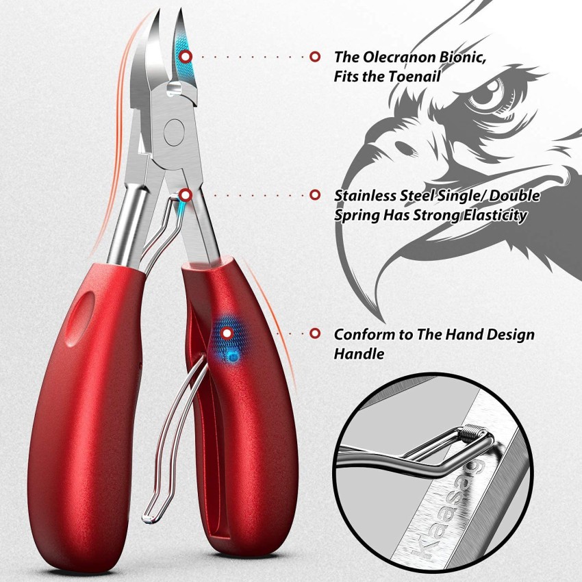 Details 154+ convex nail clippers super hot ceg.edu.vn