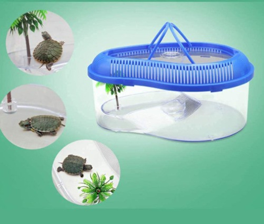 Portable tortoise carrier online