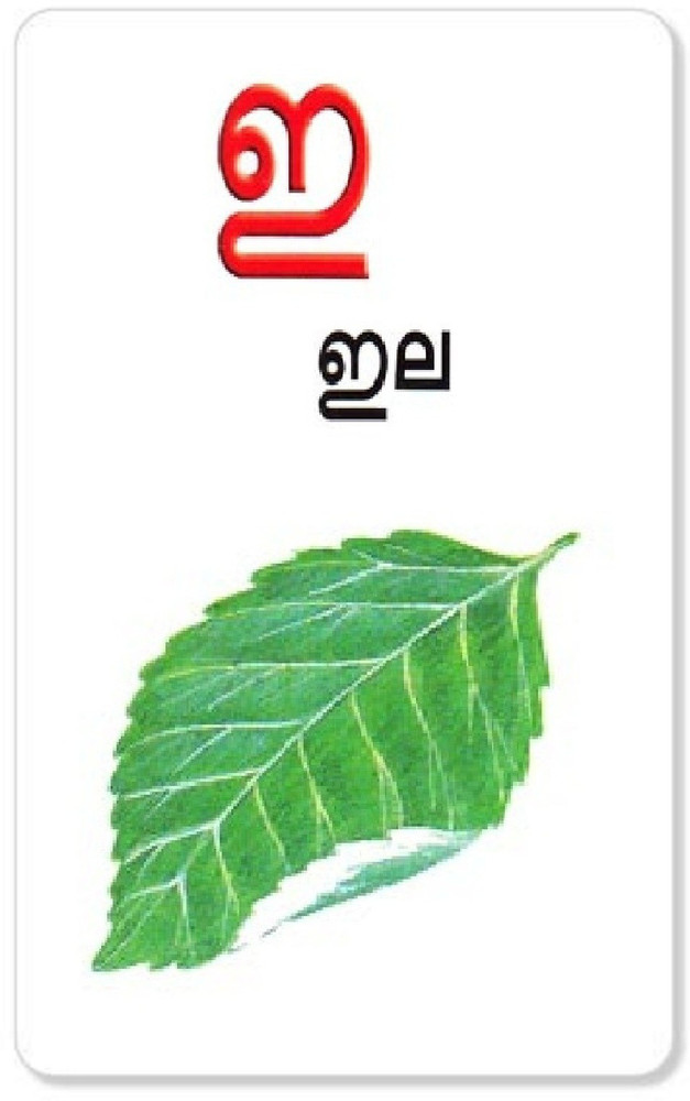 Malayalam Flash Cards Printed Laminated Flashcards in -  Sweden