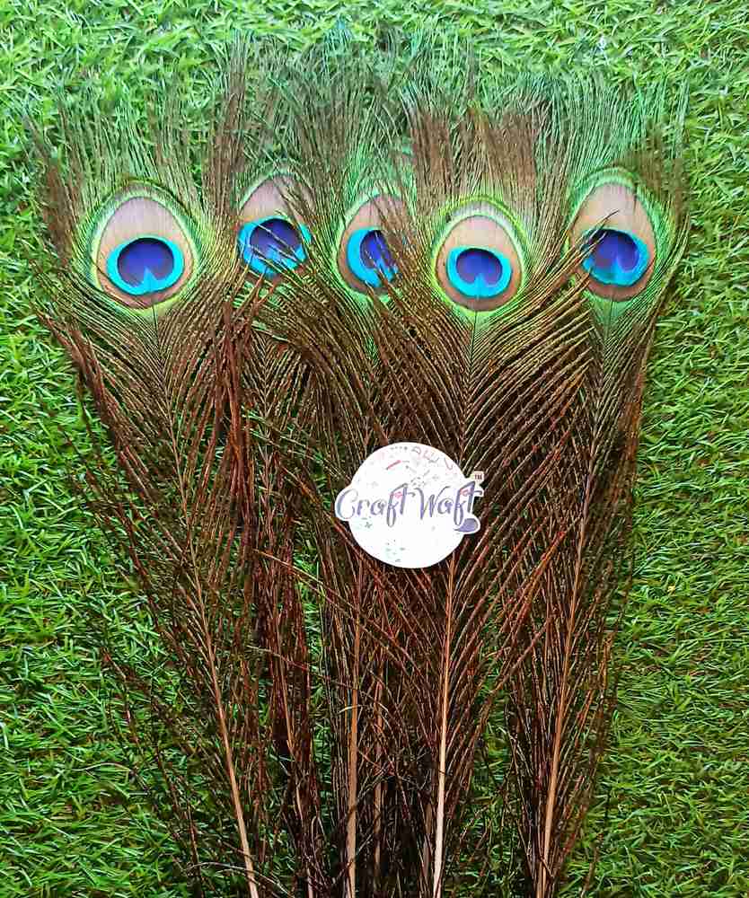 Where to hot sale buy decorative feathers