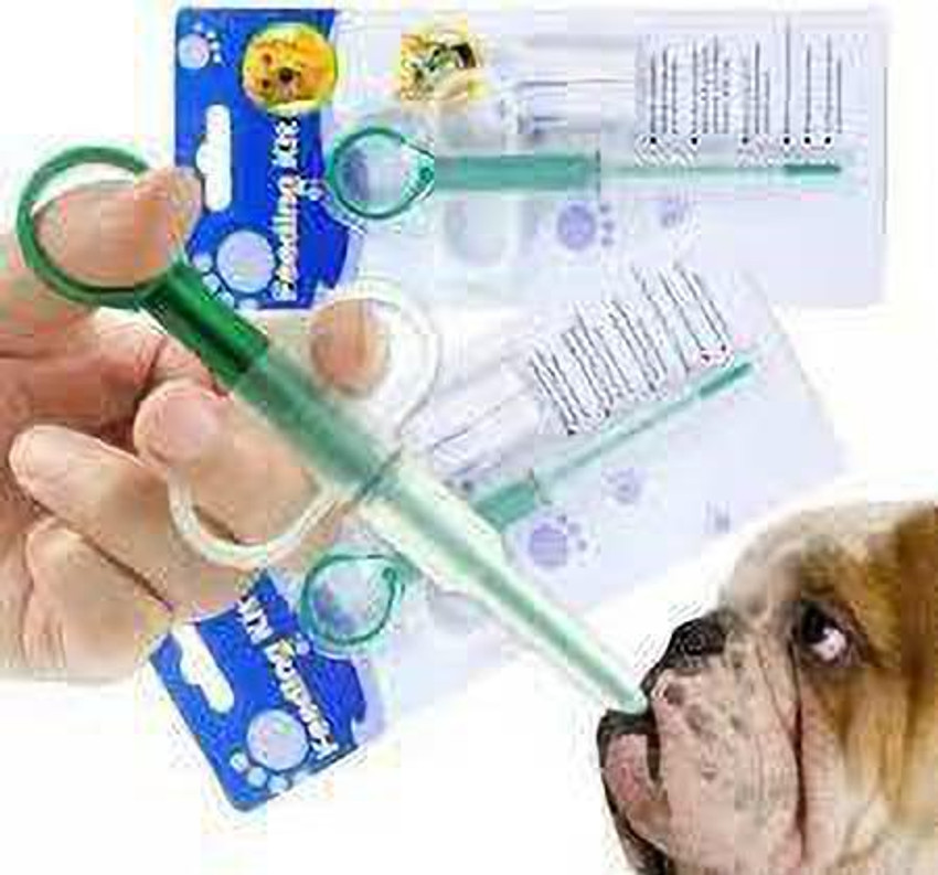Dog feeding deals syringe