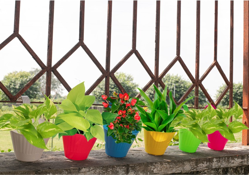 upalabdh 8 PCs Hook For Hanging Plant Pot Long Pot Hanger Hook Hanging  Lantern Planter Hanging Pot Extension Hook Plant Container Set Price in  India - Buy upalabdh 8 PCs Hook For