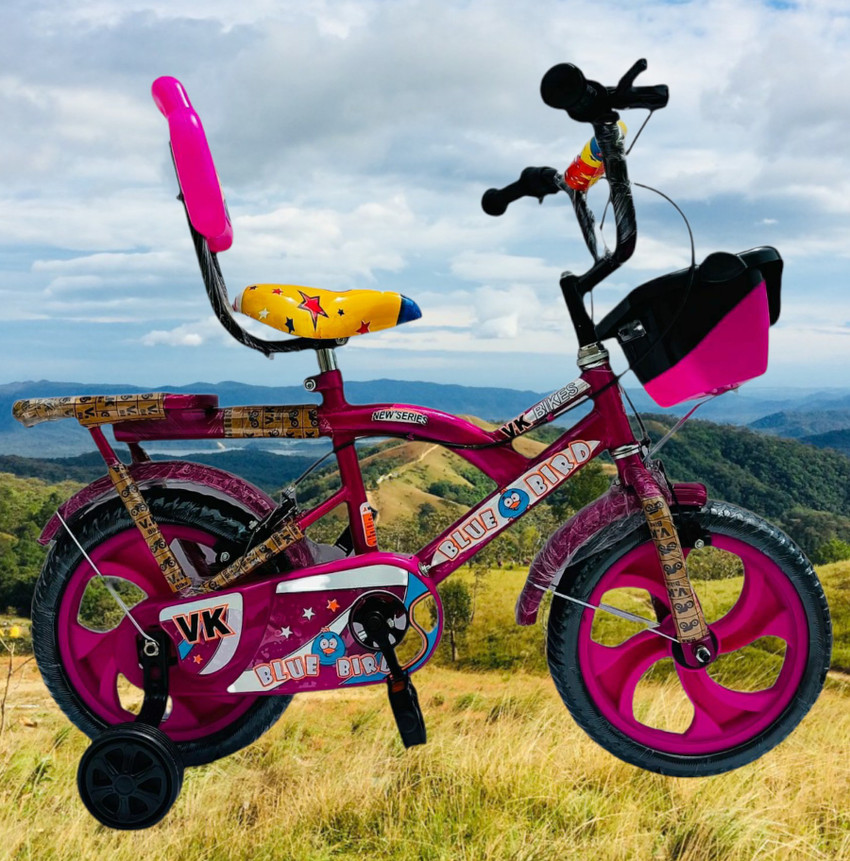 PawkyKids Bicycle for kids 2 to 5 years Cycle for Boys Girls