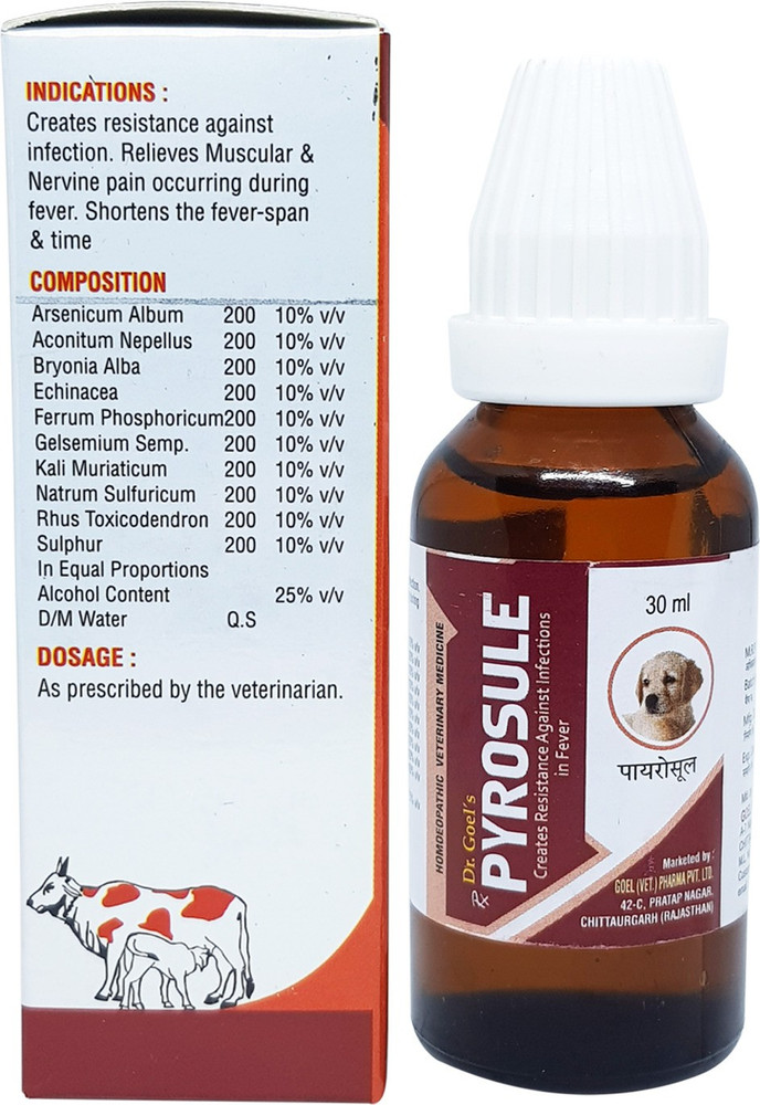 Arsenicum for dogs hotsell