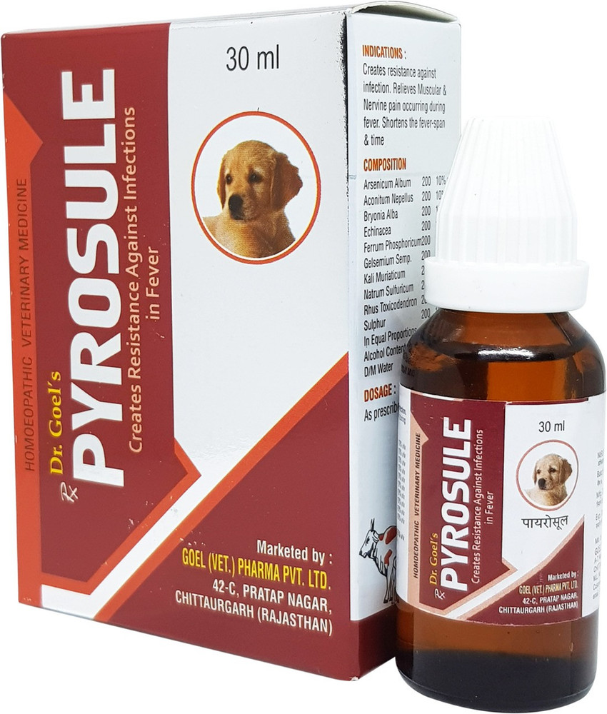 Cold for sale dogs medicine